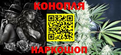 шишки Партизанск