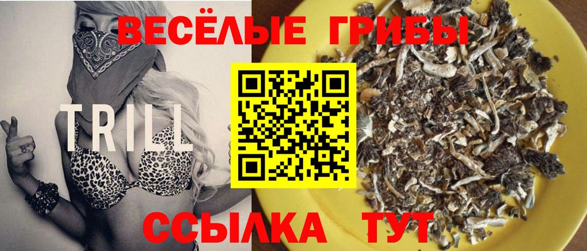 Галлюциногенные грибы Psilocybine cubensis Биробиджан
